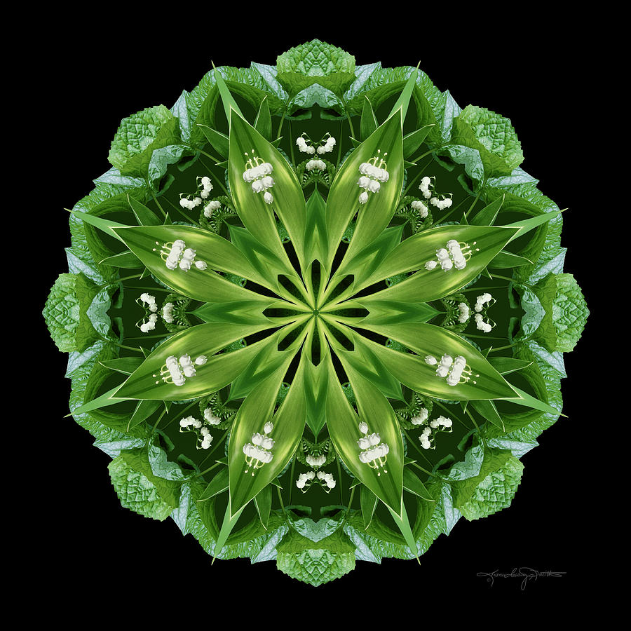 Flower Mandala Photograph - True II by Karen Casey-Smith