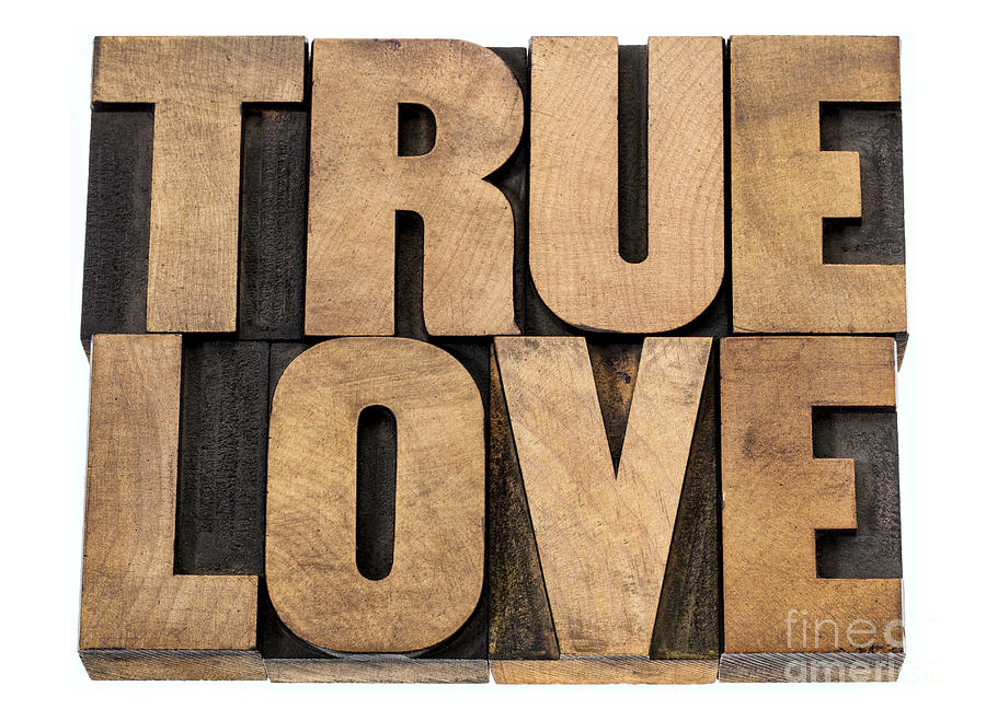True Love In Wood Type Photograph by Marek Uliasz