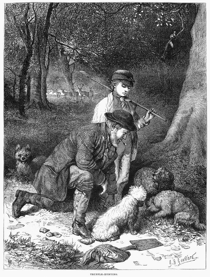 Truffle Hunters, 1869 Painting by Granger