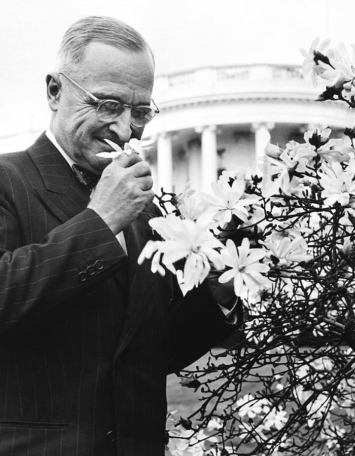 Truman Smells A Flower Photograph by Underwood Archives
