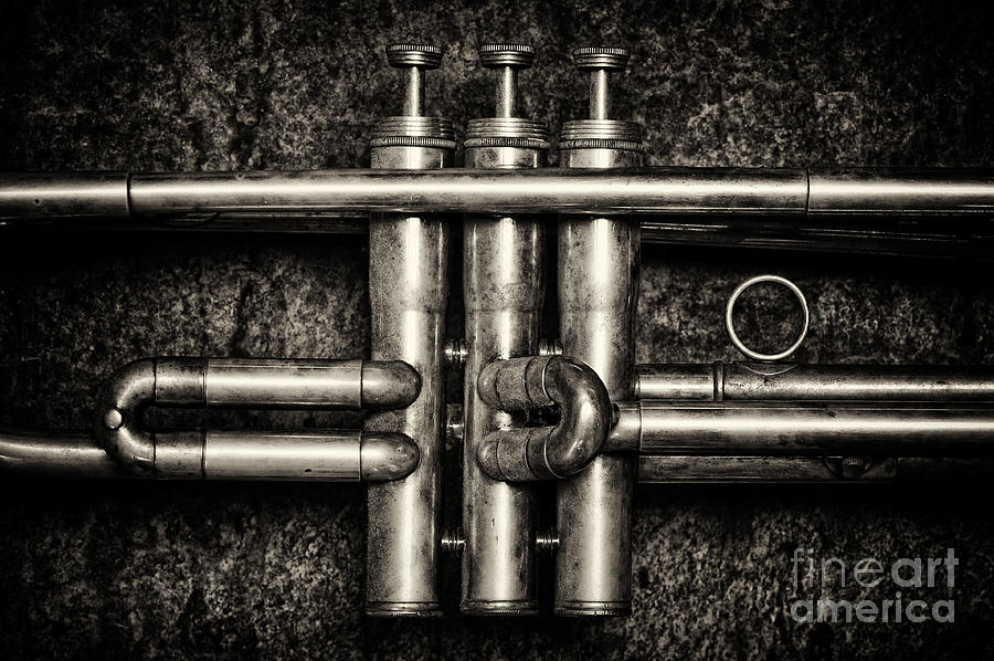 Trumpet Photograph - Trumpet Abstract by Tim Gainey