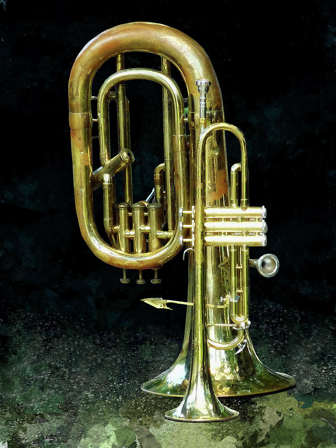 Trumpet and Tuba Photograph by Susan Savad