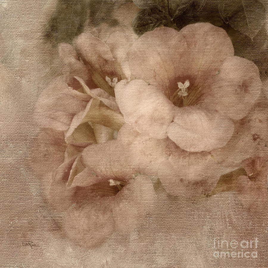 Flower Photograph - Trumpet Flowers #2 by Betty LaRue