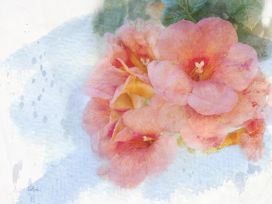Flower Photograph - Trumpet Flowers #4 by Betty LaRue