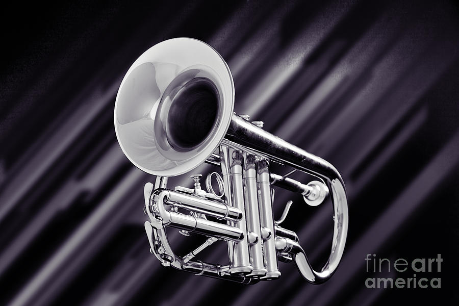Trumpet Music Instrument Picture in Sepia 3224.01 Photograph by M K Miller