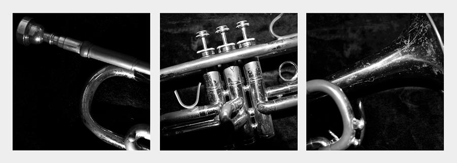 Trumpet Triptych Photograph by Photographic Arts And Design Studio