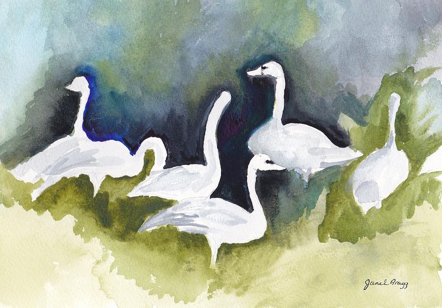 Swan Painting - Trumpeter Swans in Skagit County by Janel Bragg