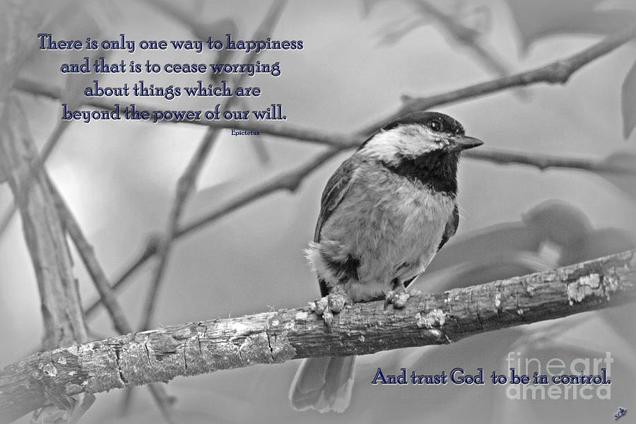 Trust God Photograph by Sandra Clark