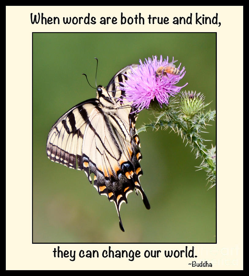 Truth and Kindness Photograph by Kerri Farley