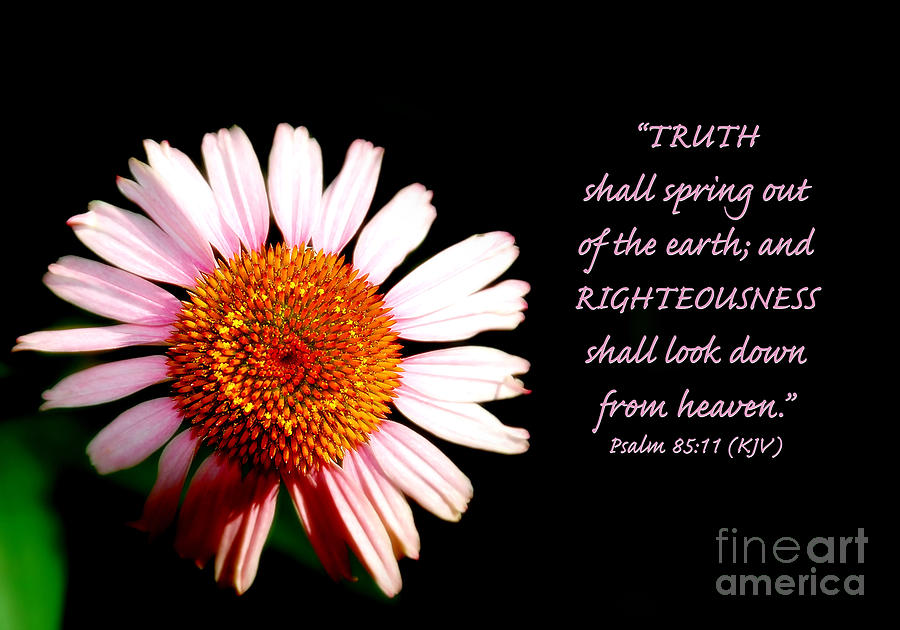 Inspirational Photograph - Truth and Righteousness by Lincoln Rogers