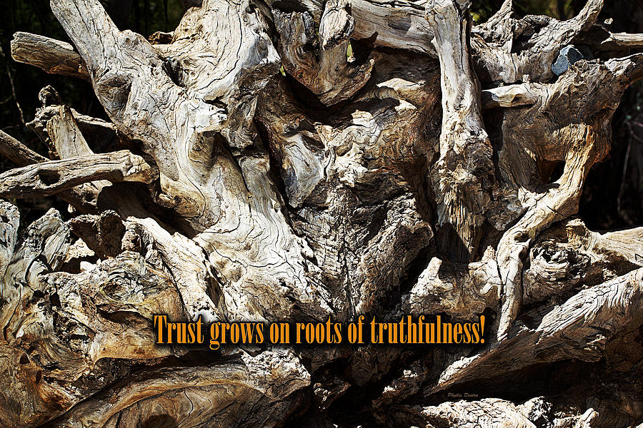 Truthfulness Photograph by Phyllis Denton
