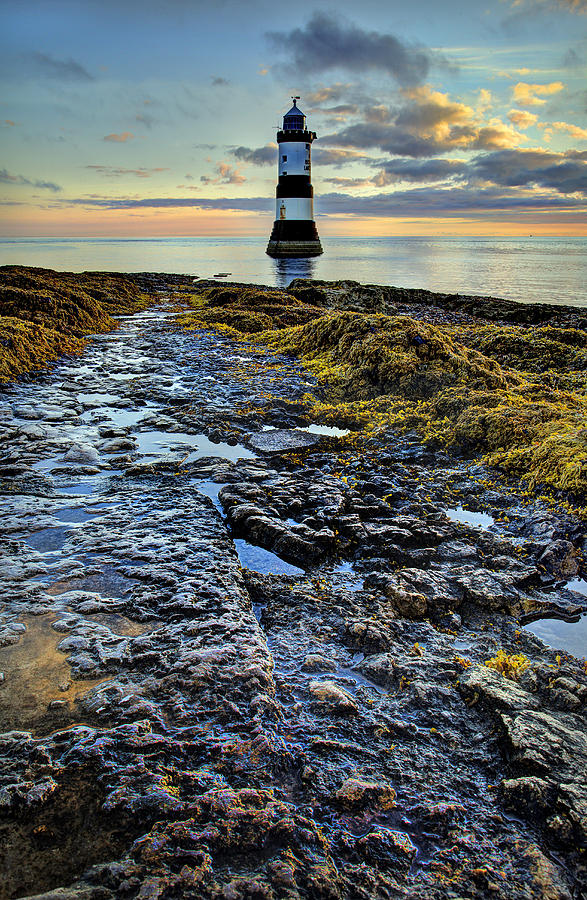 Lighthouse Photograph - Trwyn Du Lighthouse by Mal Bray