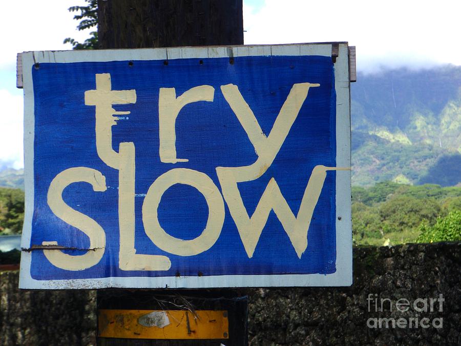 Try Slow Photograph by Mary Deal