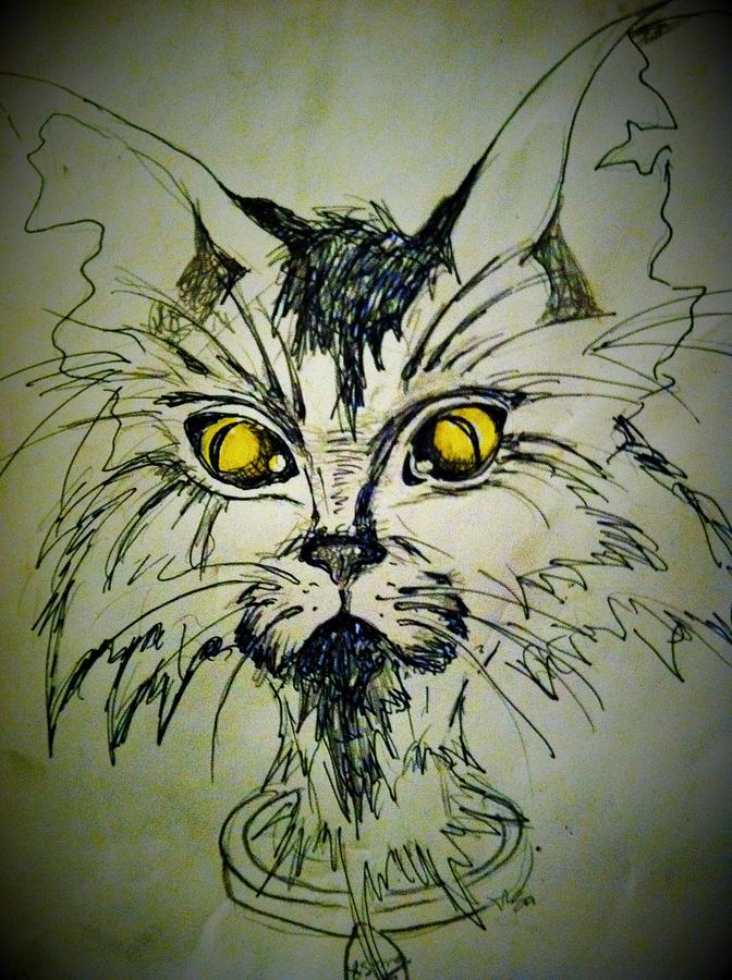 Tsimos Cat Drawing by Alexandria Weaselwise Busen