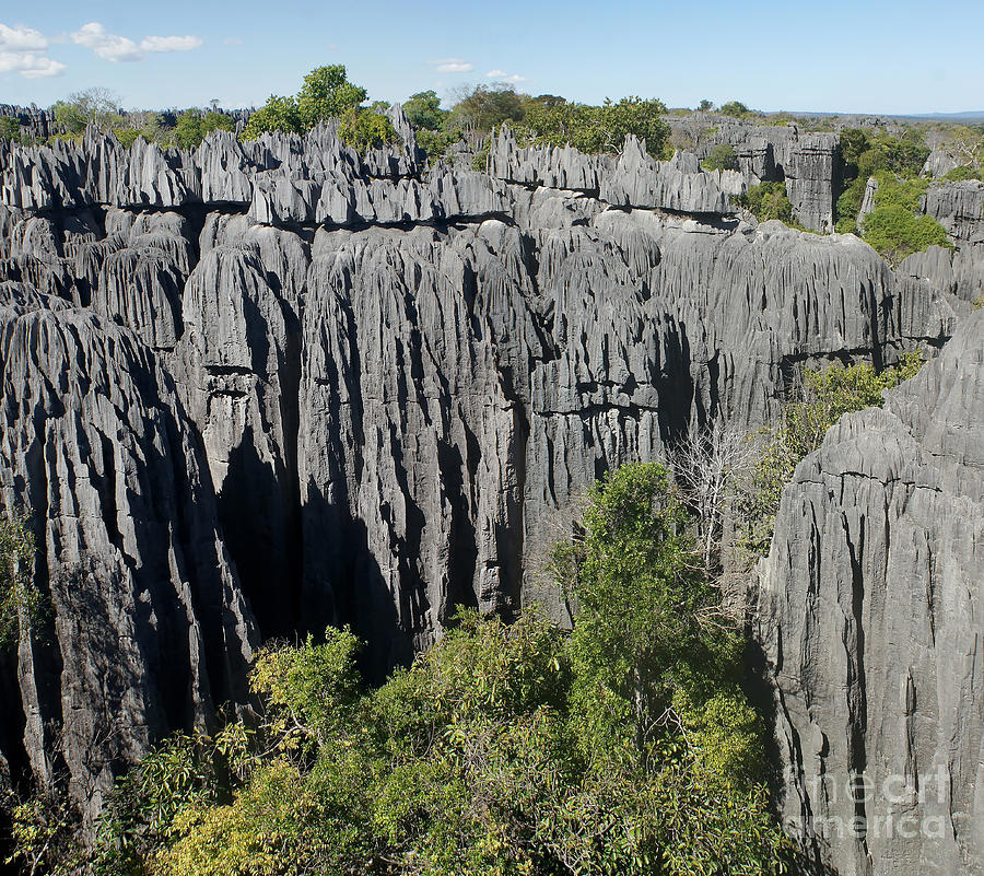 Tsingy de Bemaraha Madagascar 1 Photograph by Rudi Prott