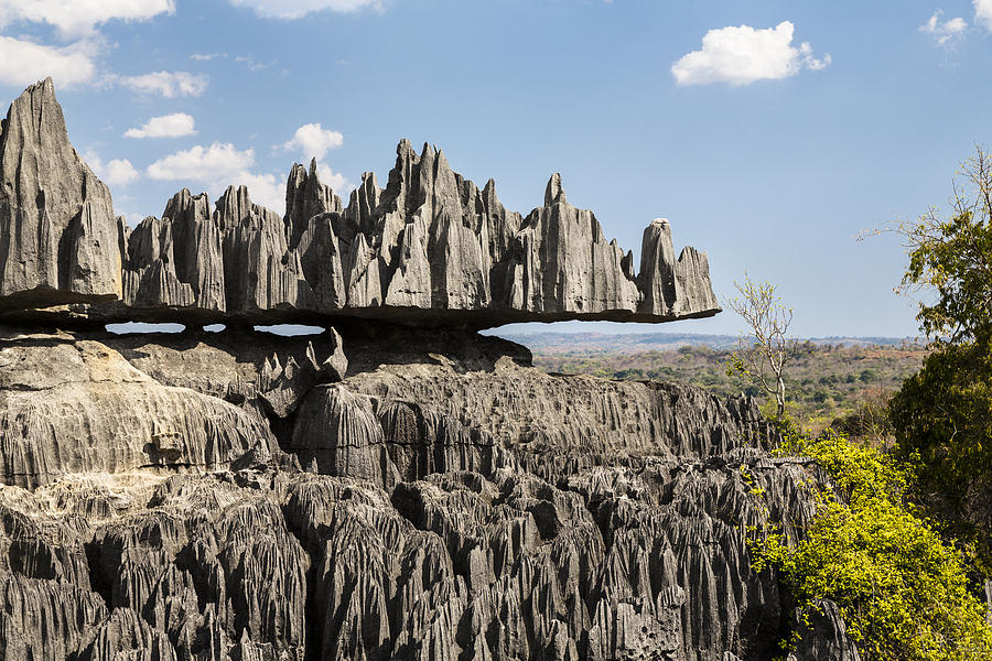 Tsingy De Bemaraha, Madagascar Photograph by Konrad Wothe