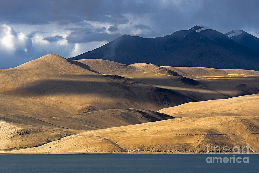 Nature Photograph - Golden Dunes Tso Moriri by Hitendra SINKAR