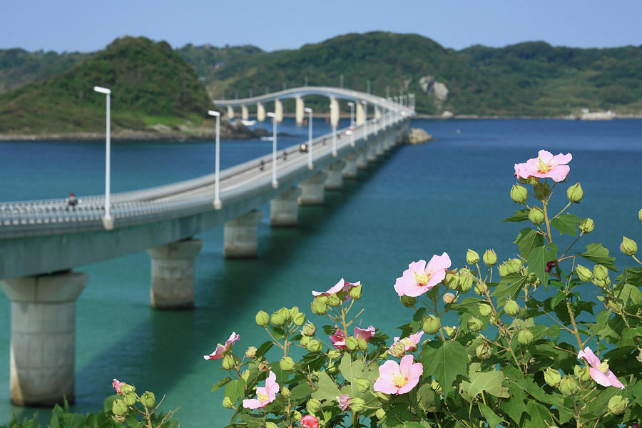 Tsunoshima Bridge Photograph by Tomosang