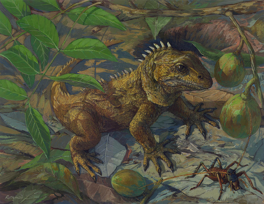 Wildlife Painting - Tuatara - The Reptilian Time Capsule by ACE Coinage painting by Michael Rothman
