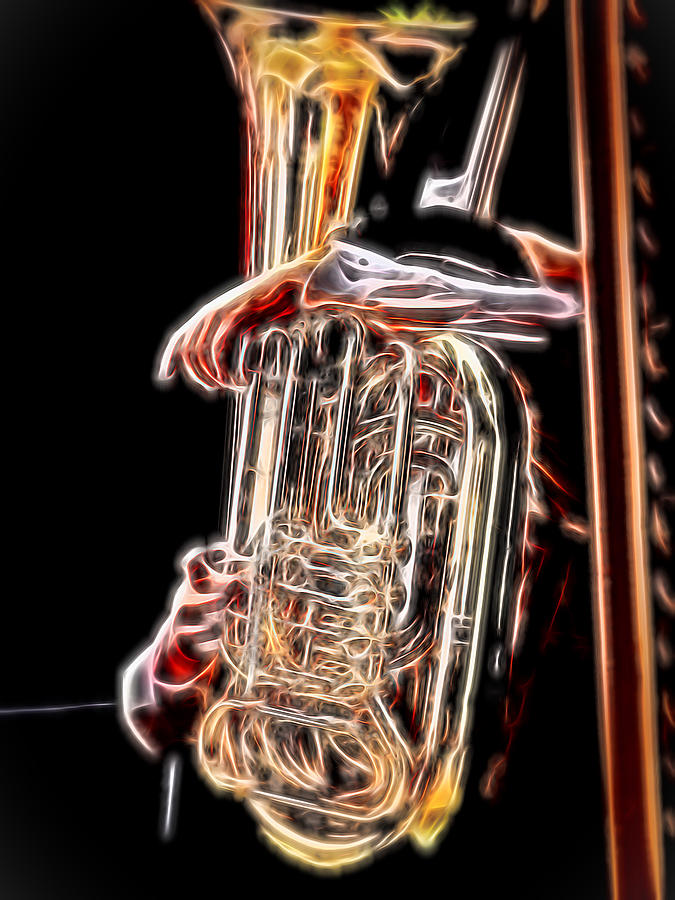 Tuba Player Photograph by Ron Roberts