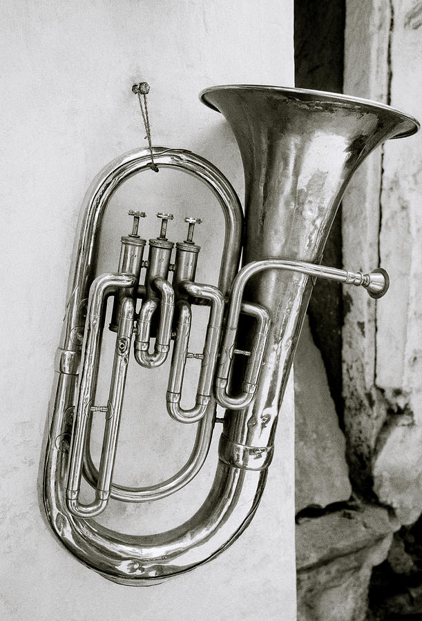 Tuba Photograph by Shaun Higson