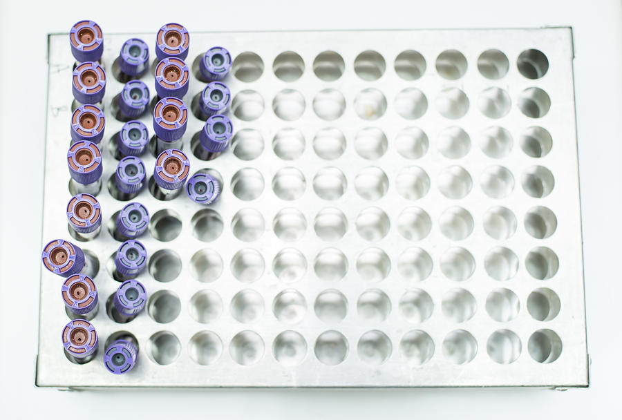 Tubes blood sample in rack Photograph by Vesnaandjic
