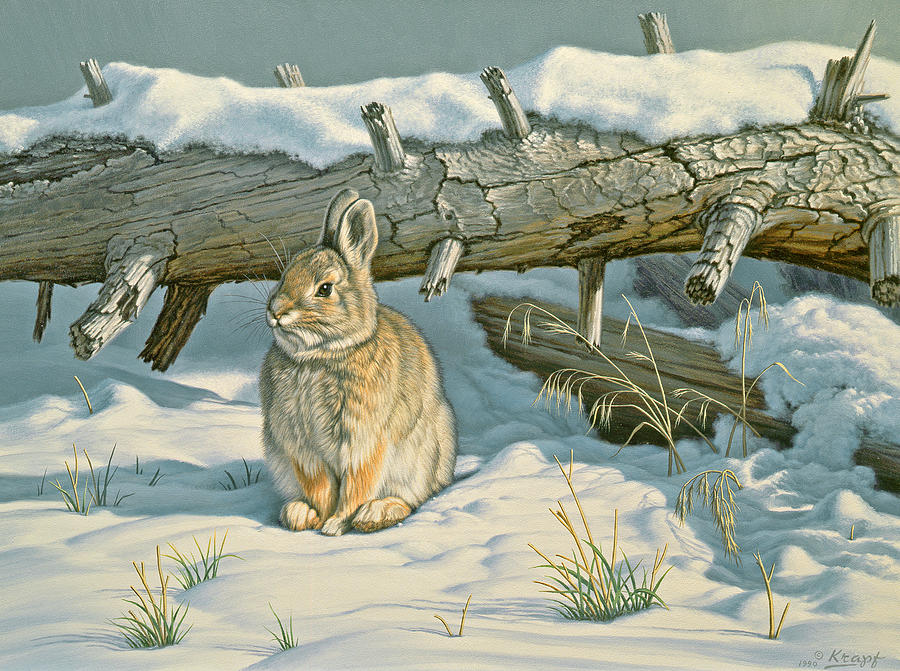 Wildlife Painting - Tucked In by Paul Krapf
