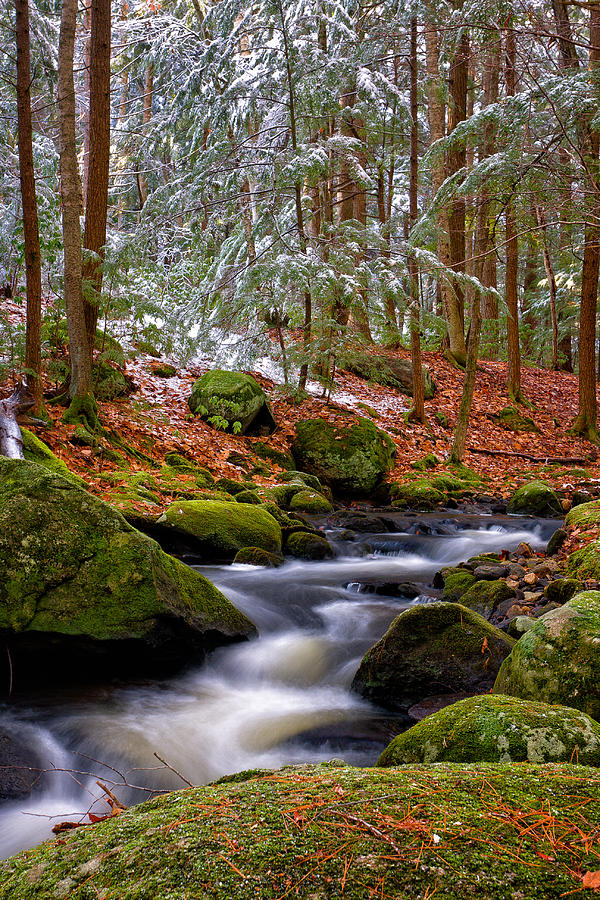 Tucker Brook First Snow Photograph by Jeff Sinon