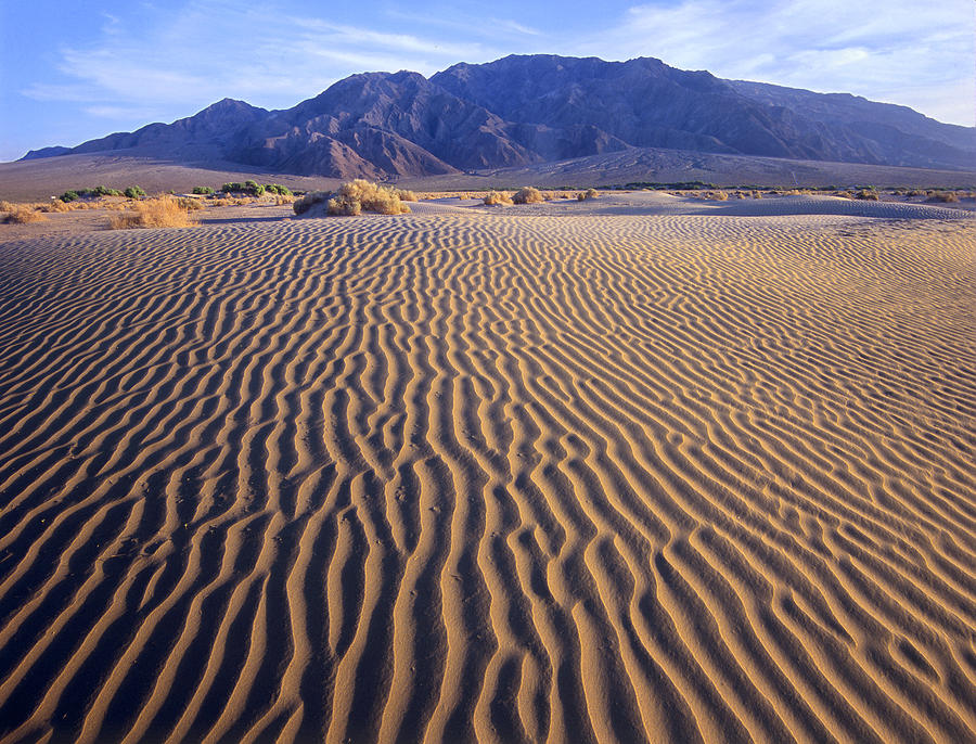Tucki Mountain And Mesquite Flat Sand Photograph by Tim Fitzharris