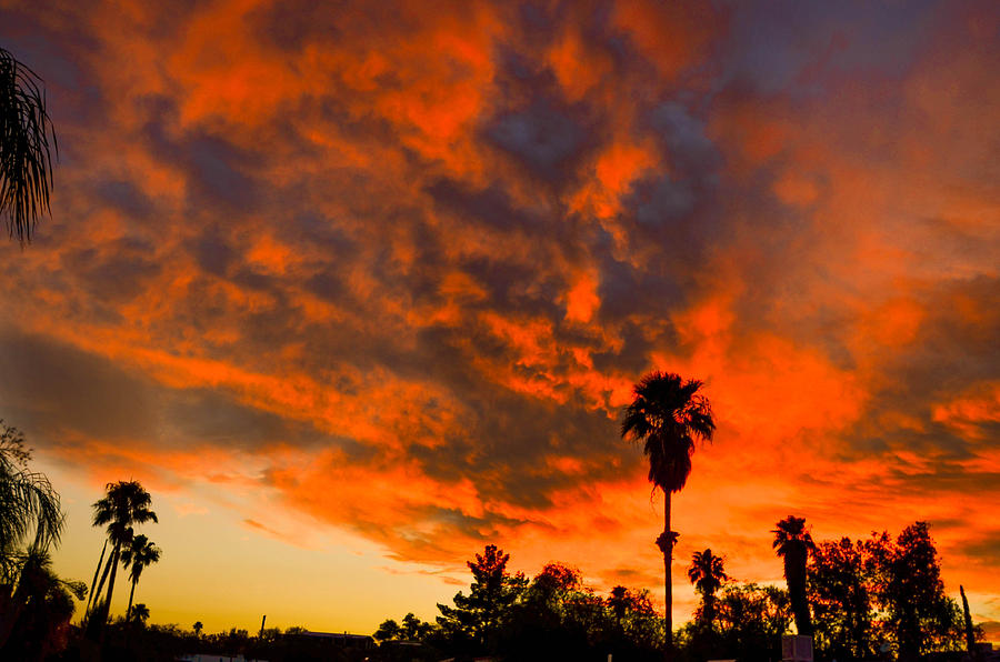 Tucson Arizona Sunrise Fire in the Sky Photograph by Michael Moriarty ...