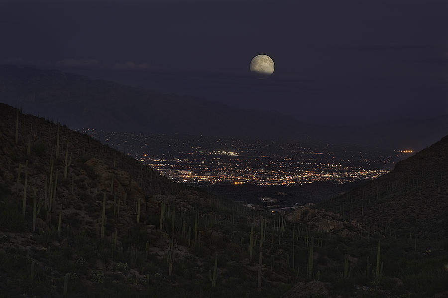 Tucson At Dusk by Lynn Geoffroy Tucson At Dusk by Lynn Geoffroy