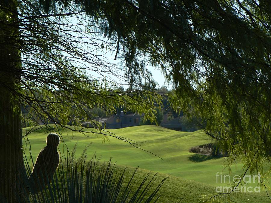Golf Photograph - Tucson Foothills Golf Course by Rincon Road Photography