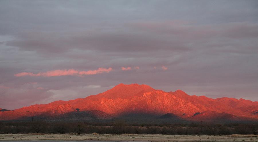 Tucson Mountains Photograph by David S Reynolds