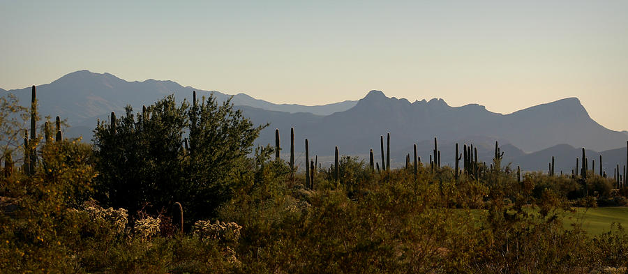 Tucson Mountains from the Course Photograph by Aaron Burrows