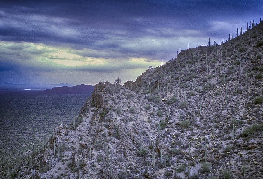 Landscape Photograph - Tucson Mountains by Robert Schambach