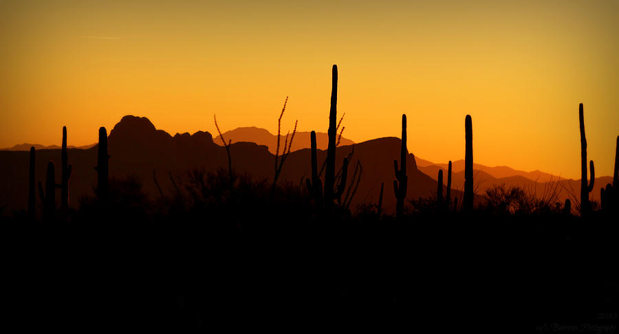 Tucson Mountains Sunset Ridges Photograph by Aaron Burrows