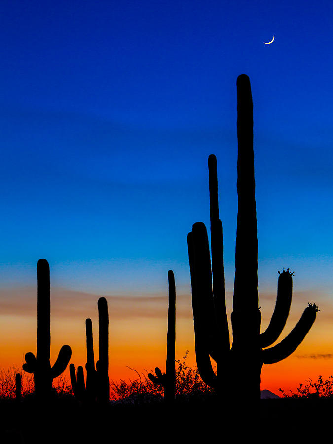Tucson Sunset Photograph by Chris Austin