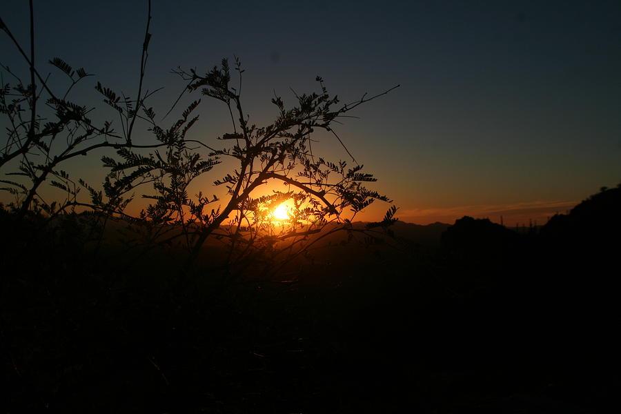 Tucson sunset Photograph by David S Reynolds