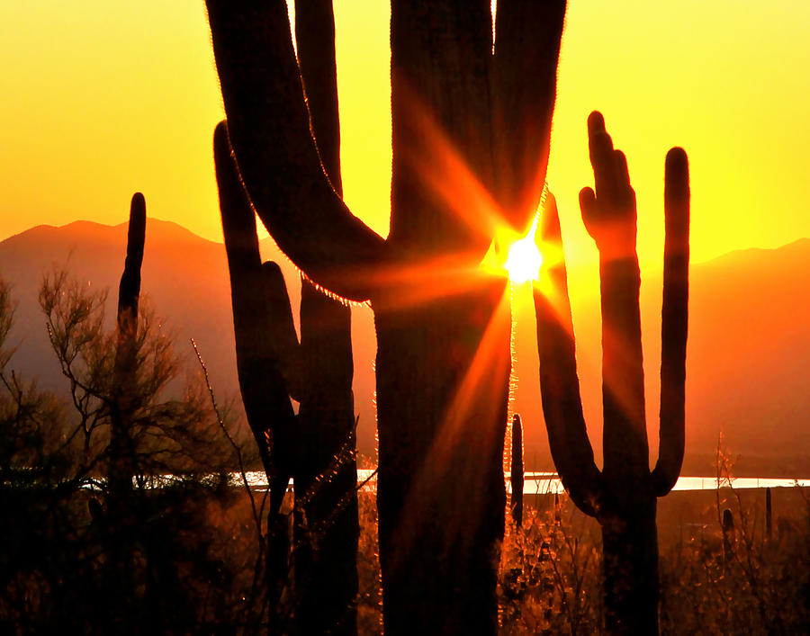 Enchanting Tucson Sunset Photograph by Ed Riche