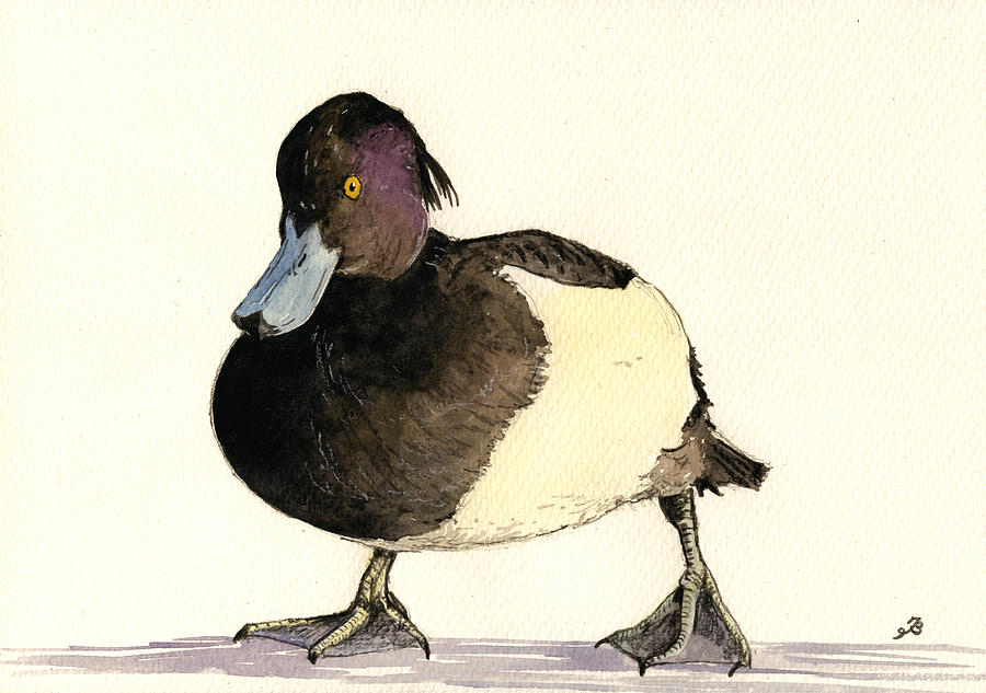 Duck Painting - Tufted duck by Juan  Bosco