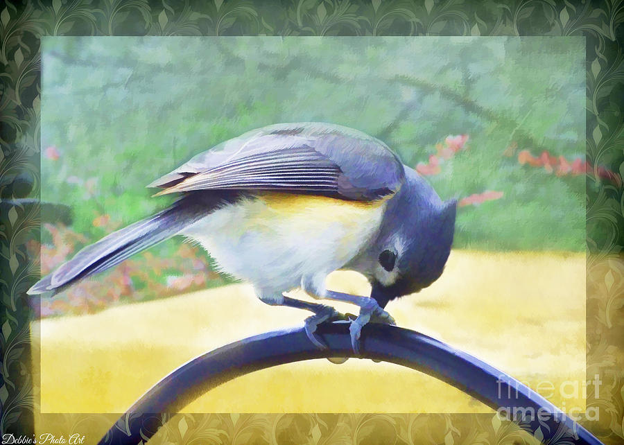 Tufted Titmouse At Work - Digital Paint Photograph by Debbie Portwood