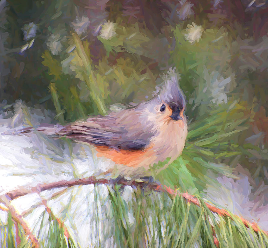 Tufted Titmouse On a Pine Branch - Digital Painting Painting by Kerri Farley