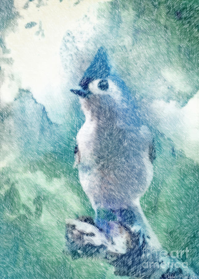 Titmouse Photograph - Tufted Titmouse StandingTall - Colored Pencil by Debbie Portwood