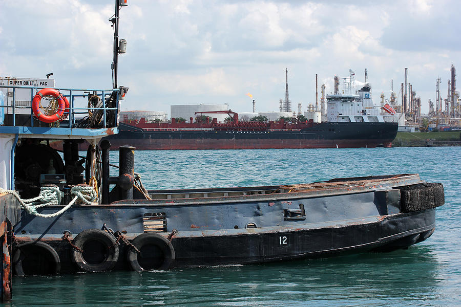 Tug and Freighter Photograph by Mary Bedy