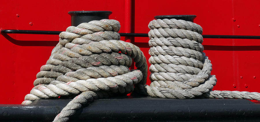 Tugboat Detail Two Photograph by David T Wilkinson