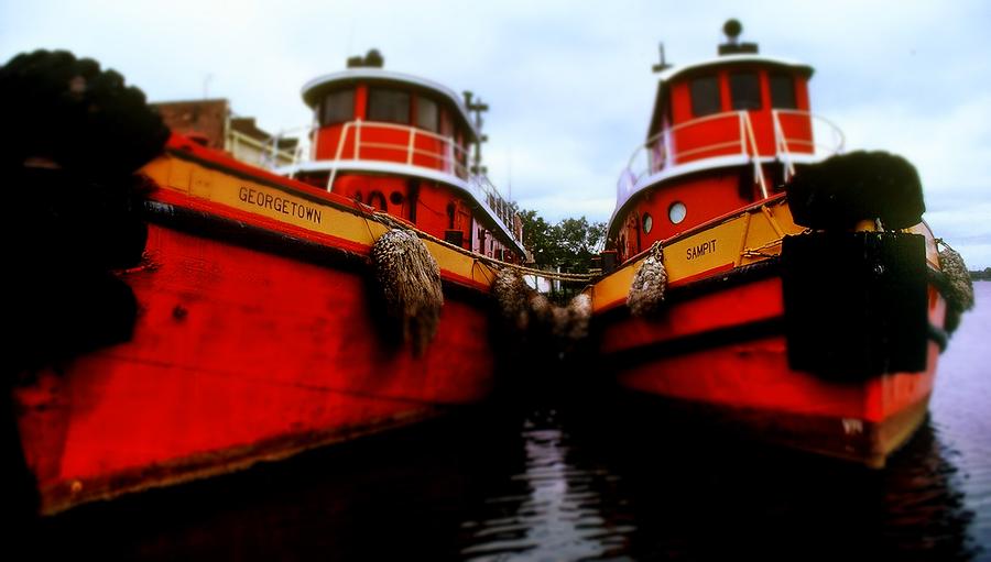 Tugs Photograph by Rodney Lee Williams