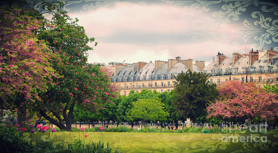 Tuileries Gardens with Damask Texture Photograph by Hermes Fine Art