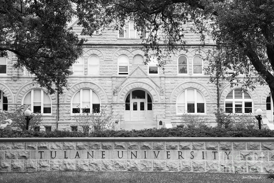 Tulane University Gibson Hall Photograph by University Icons | Fine Art ...