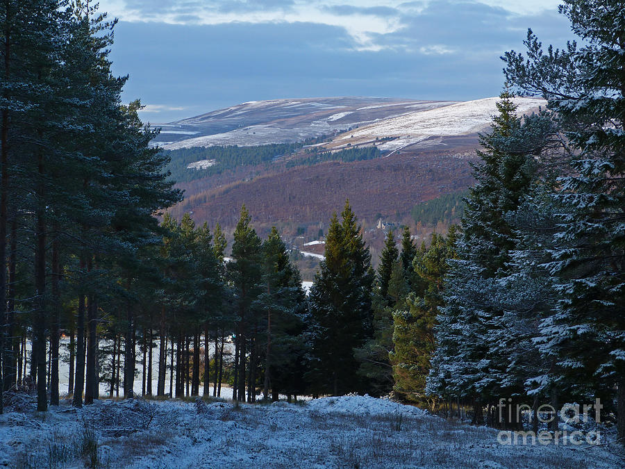 Tulchan Estate - Early Winter - Scotland Photograph by Phil Banks