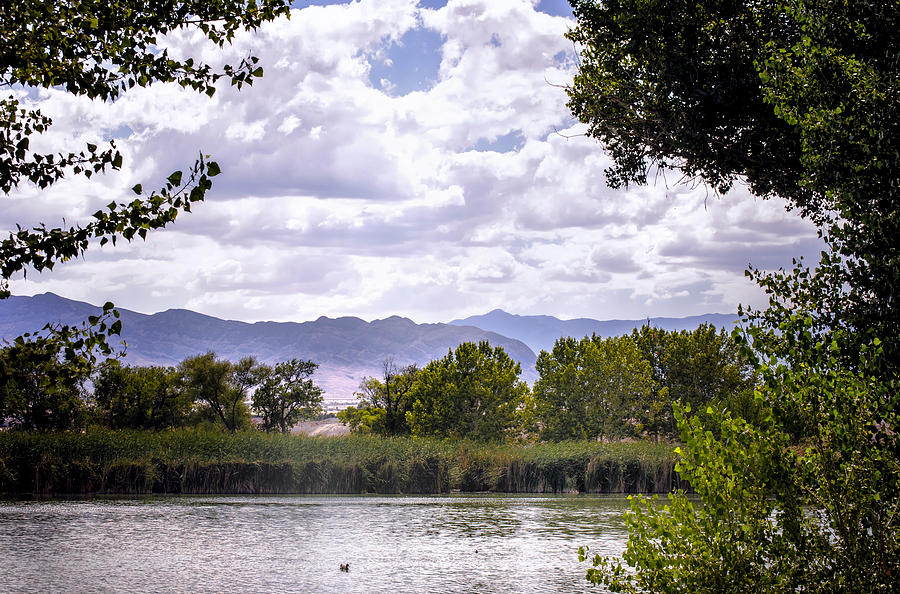 Tule Springs Photograph by Sandra Welpman | Pixels